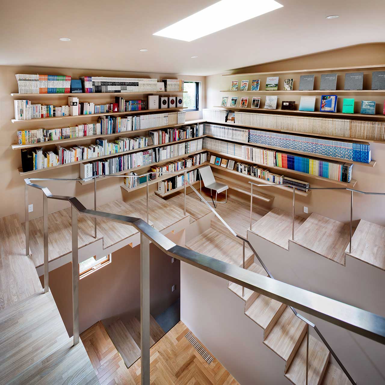 A Modern Home Designed With a Cat’s Perspective in Mind