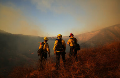 How to Help the Los Angeles Community Affected by Wildfires