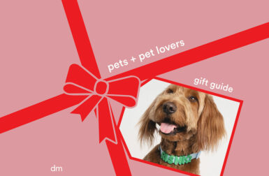 2025 Best Modern Gifts for Pets + Pet Lovers