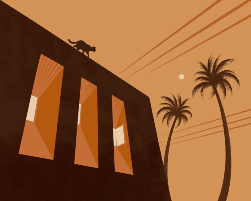 A silhouette of a cat walks along the edge of a building with three lit windows, with two palm trees and the sun in the background