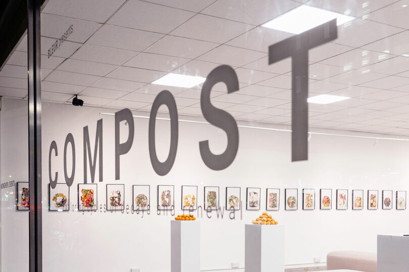 Art gallery with "COMPOST" written on the window, small framed artworks on the wall, and pedestals displaying stacks of oranges inside.